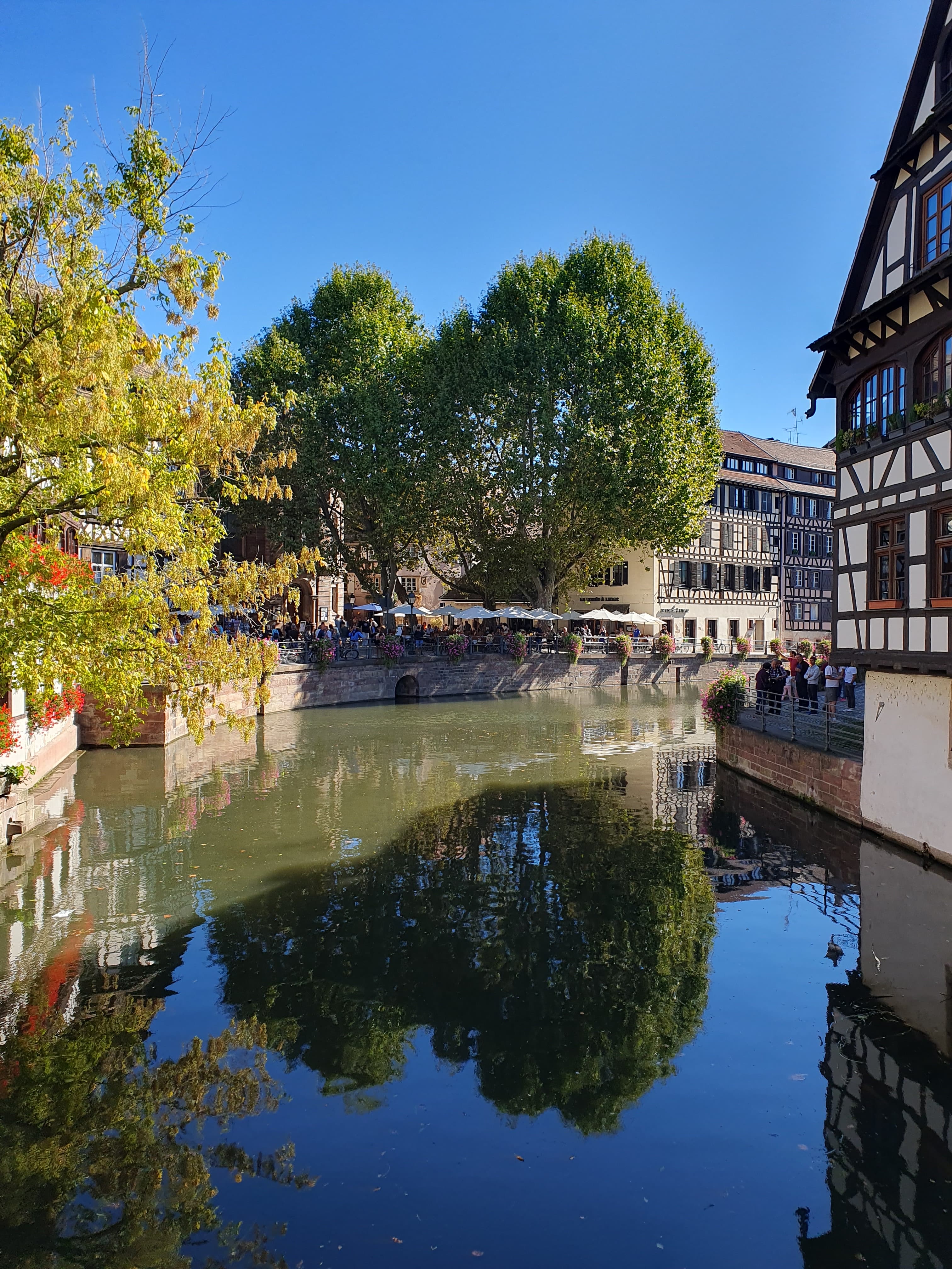 A tranquil scene captures a serene canal in Strasbourg, framed by tall, leafy trees and charming half-timbered buildings, reflecting the clear blue sky and vibrant autumn colors, while people leisurely stroll and gather along the water's edge, creating a warm, inviting atmosphere.